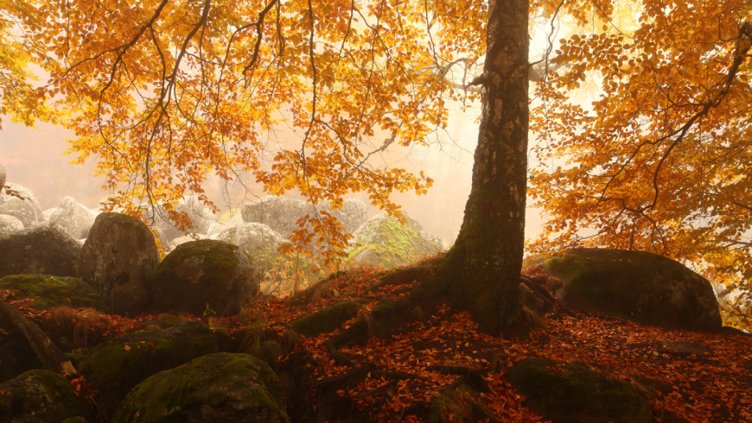 Облачно и мъгливо по Черноморието днес