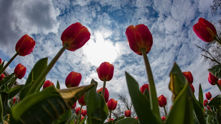 Времето във Варна днес: Променливо, но без валежи