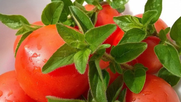 Цените на плодовете и зеленчуците остават сезонно ниски