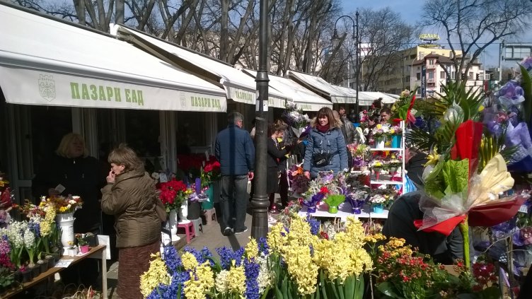„Пазари“ направи сериозни инвестиции през 2016 г.