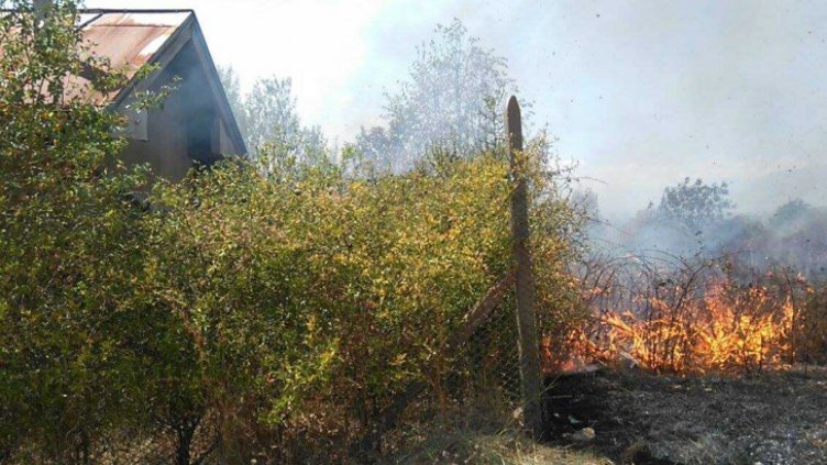 Снимка БГНЕС