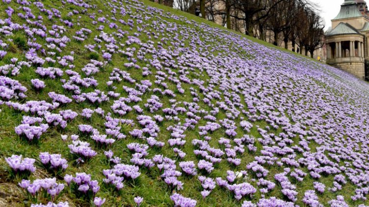И дъжд, и слънце за Великденските празници