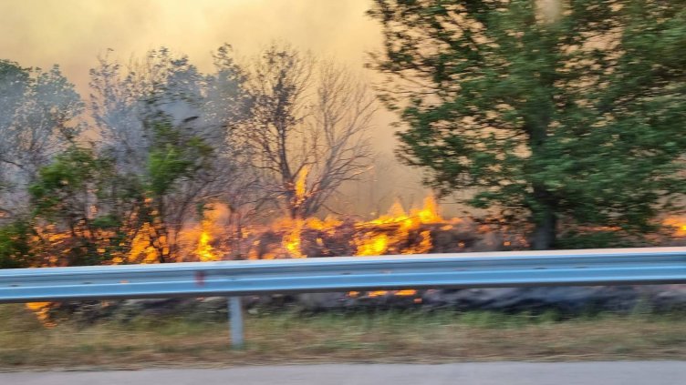 Снимка: БГНЕС