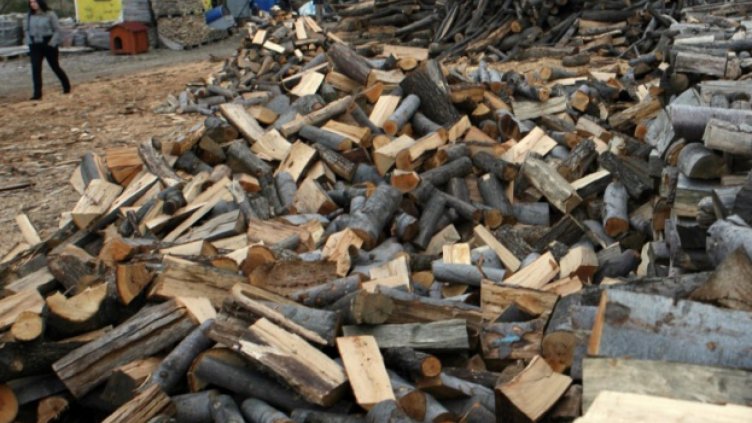 Стартираха електронните търгове за продажба на дървесина 