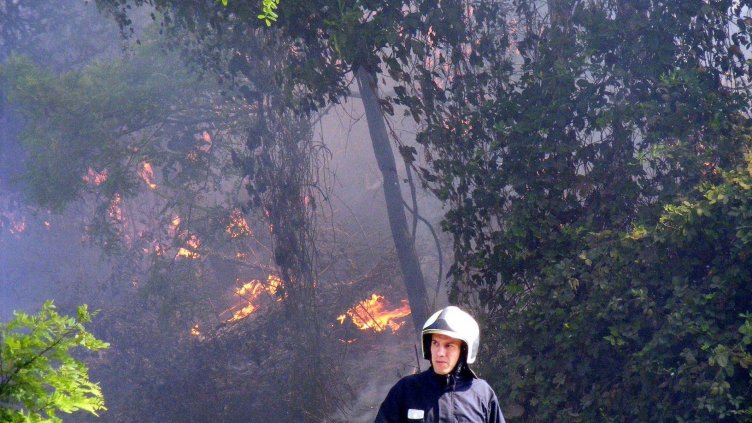 Снимка БГНЕС