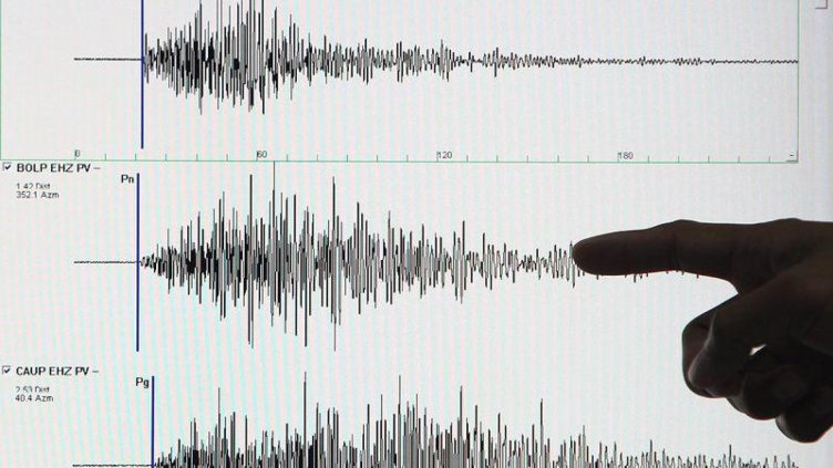 Слаб трус в Китен