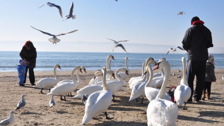 Новата седмица започва с по-високи температури