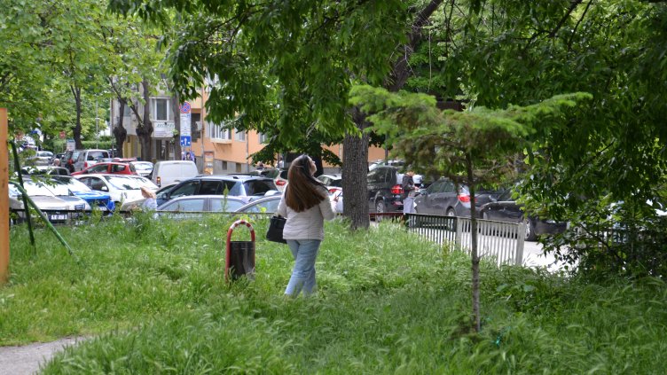 Обработват срещу вредители дърветата в централната част на Варна