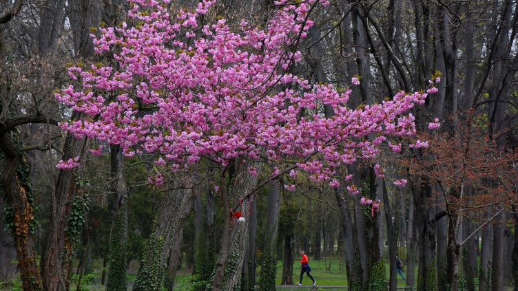 снимки: Пламен Гутинов