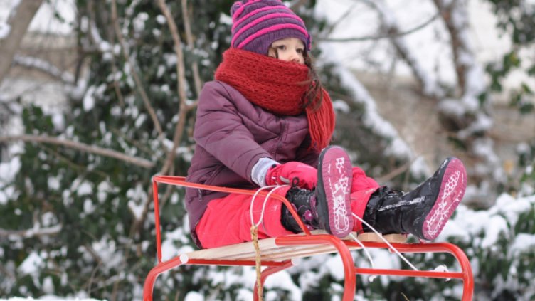 Снимка Ели Маринова