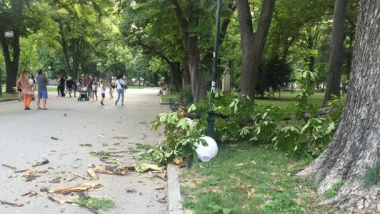 Масивен клон падна и рани двама на пейка в Пловдив