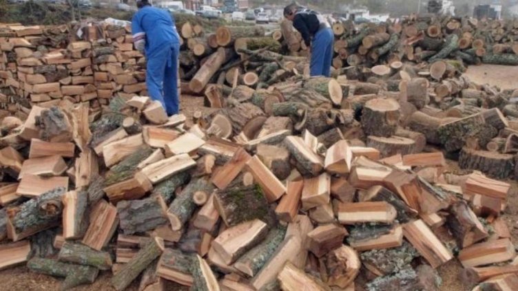 Дървата за огрев поевтиняват