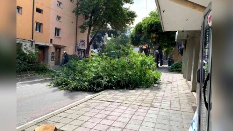 Вятър събори част от козирката на кооперативния пазар в Благоевград 