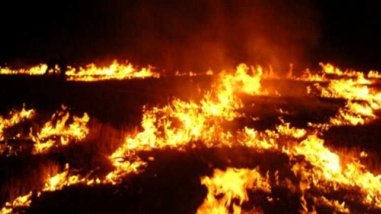 Гасят пожара в Рила с водна връзка