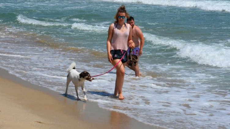 Снимка: Пламен Гутинов, архив