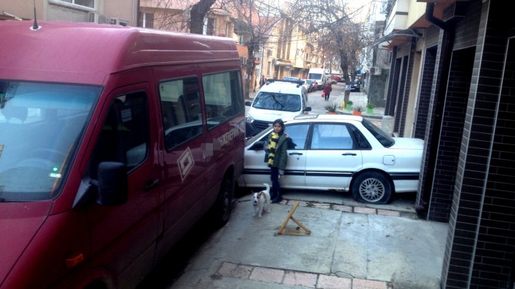 Снимка Пламен Гутинов