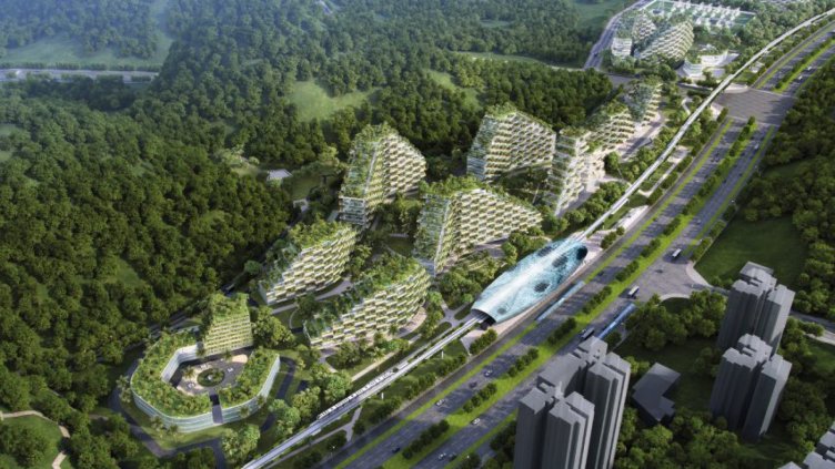 Заради климатичните промени: Градове като гори