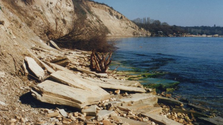 АБРАЗИЯТА, КОЯТО ВЕЧЕ СИЛНО Е ЗАСЕГНАЛА морския бряг в района на Траката , може да бъде спряна с помощта на изкуствените рифове, твърди ученият. 	