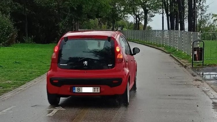 Кола се разходи в Морската градина на Варна