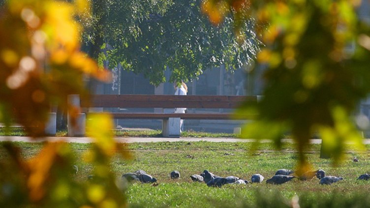 Слънчево, но с умерен вятър от югозапад