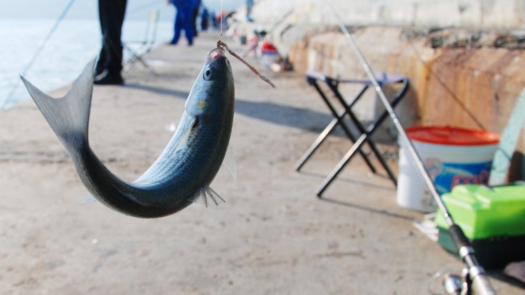 Снимка Пламен Гутинов, архив