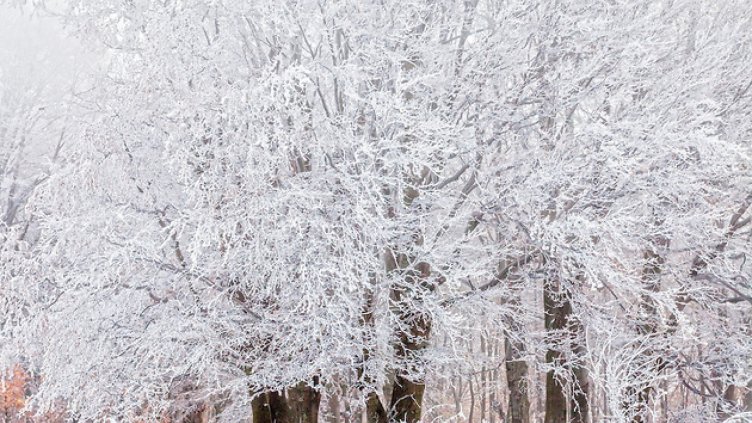 Утре се очакват валежи от сняг