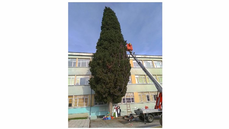Снимка Йордан Колев