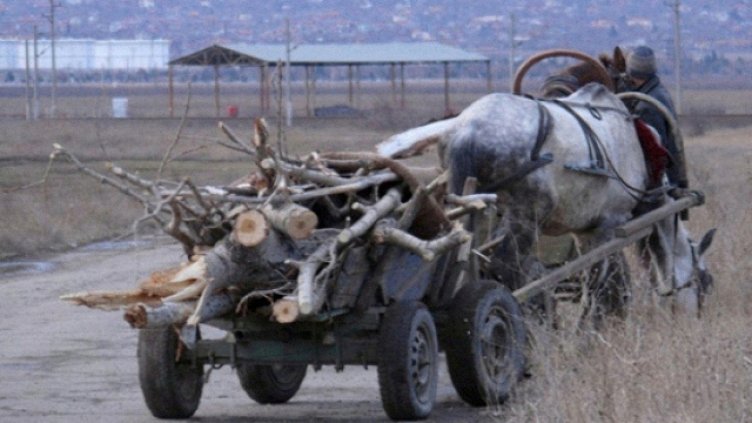 22 акта съставиха горските във Варненско