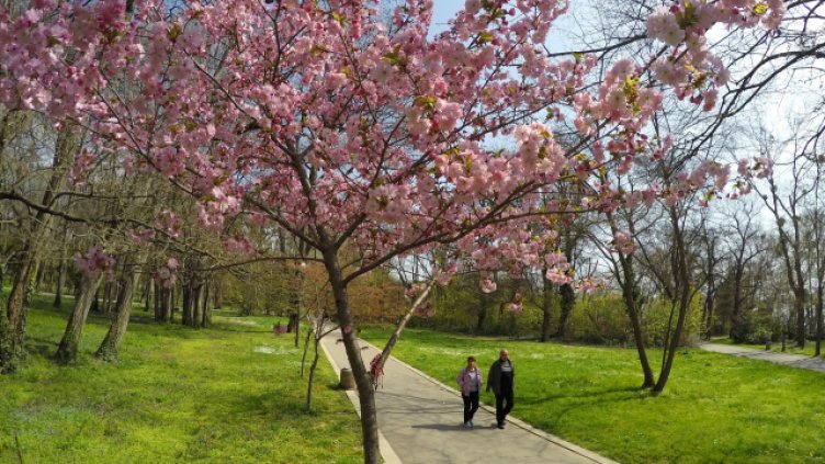 Снимка Пламен Гутинов, архив