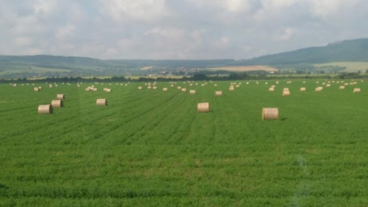 Снимка: Обществен център за околна среда и устойчиво развитие