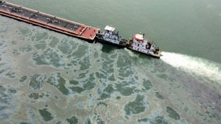 50-километров нефтен разлив в Северно море 