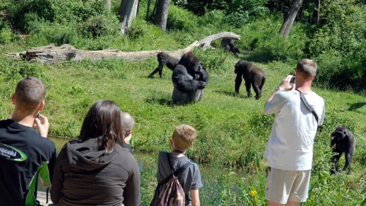 Виц на деня - 17 март