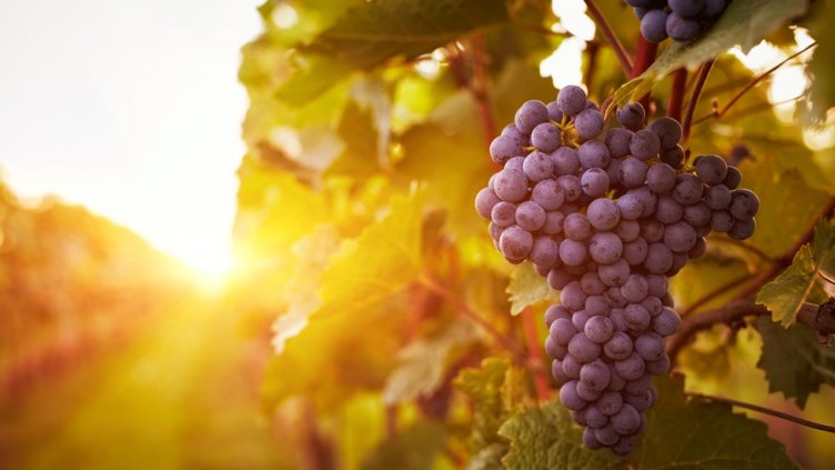 На Преображение Господне времето се „преобръща”