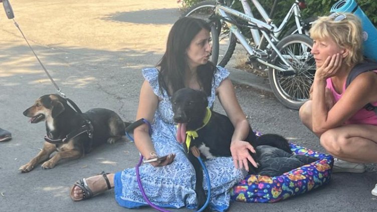 Снимки:  Александра Никко