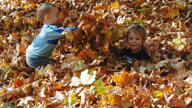 Снимка Пламен Гутинов