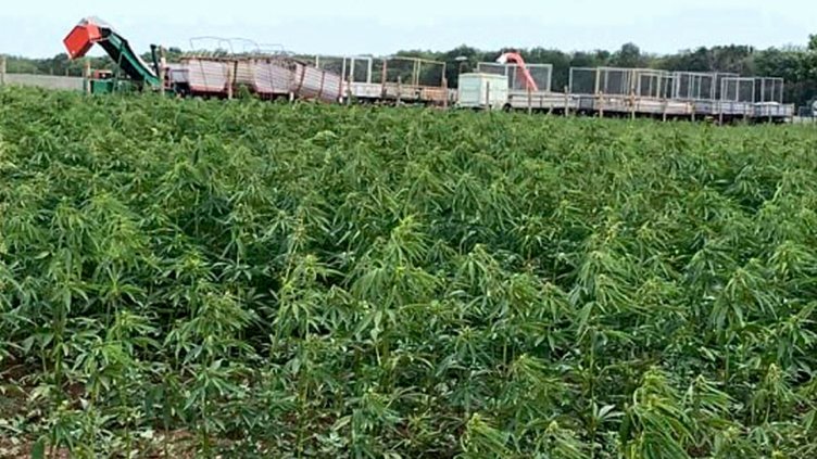 Снимка: Про Нюз Добрич