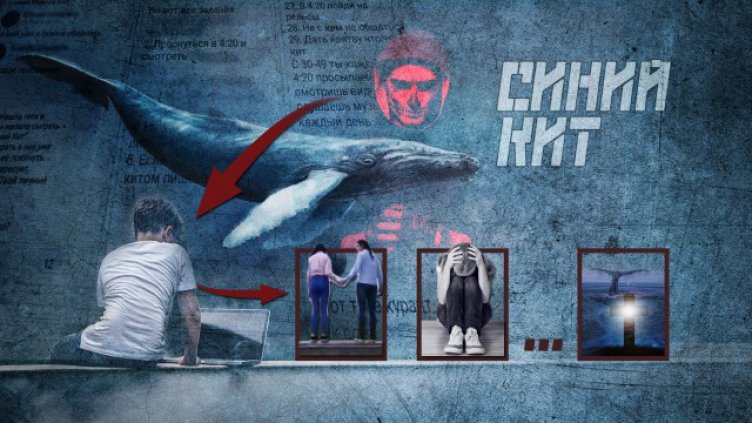 Полицията разследва поява на играта „Син кит” в България