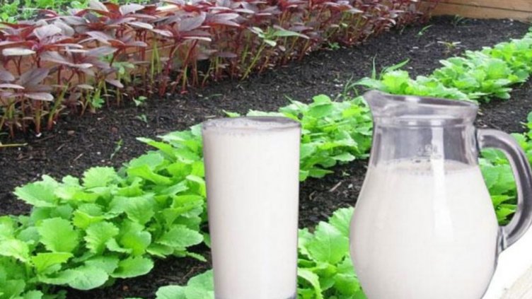 Литър прясно мляко стигна до 3,50 лв. в търговската мрежа