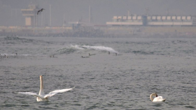 Предимно облачно във Варна днес