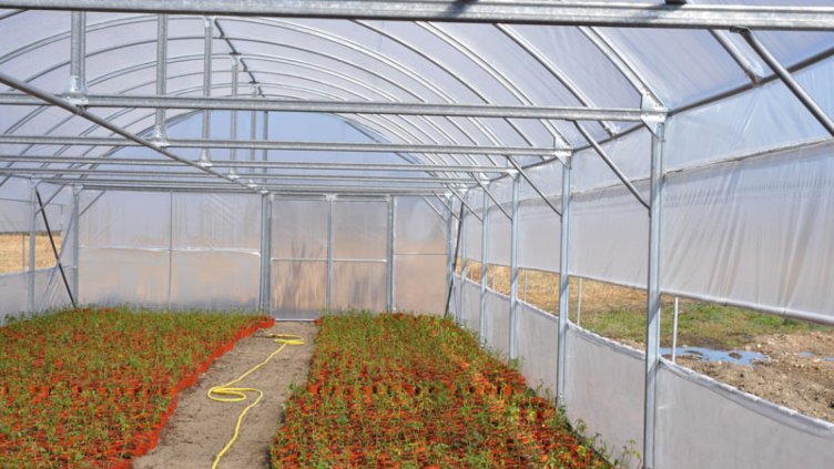 Бъдещето на българското зеленчукопроизводство е в оранжериите