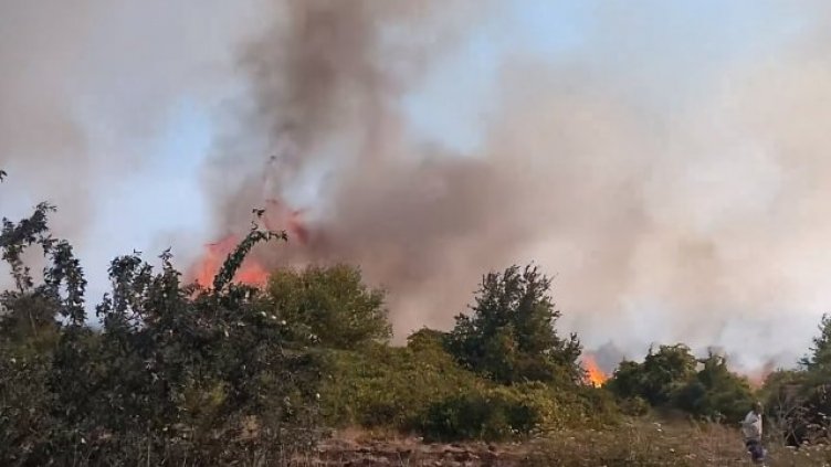 Огънят обгърна село Припек! Спешно се търсят доброволци
