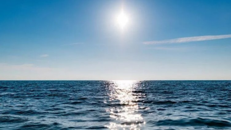 30% от моретата и океаните стават защитени зони до 2030 г.