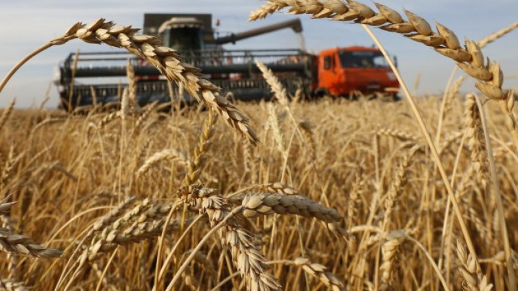 Износът на зърно ще има значителен принос и в следващите години