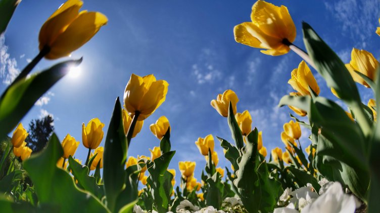 Времето във Варна: Слънчево, градусите до 26