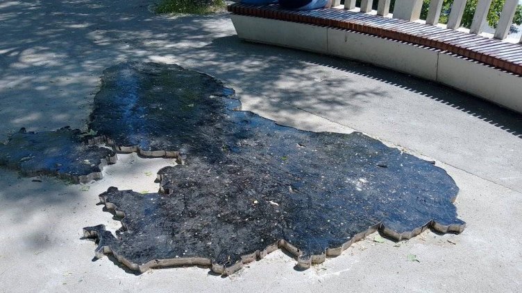 Нещо черно, нещо като нищо, изуми варненци в Морската градина