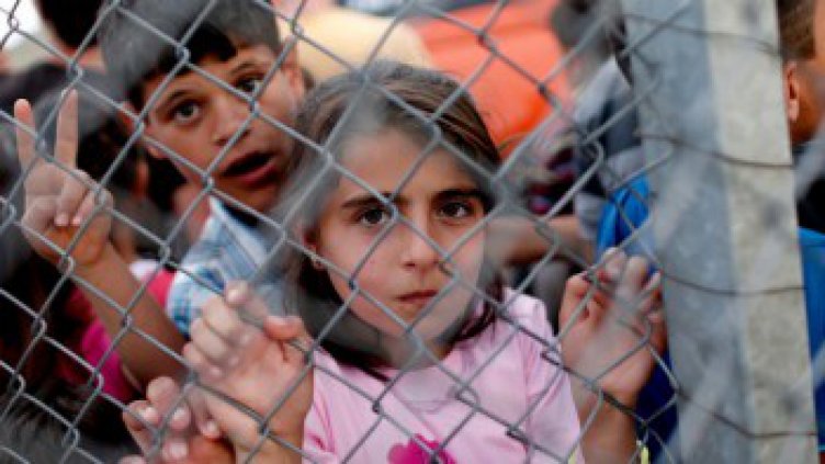 Около 300 000 сирийци може да получат турско гражданство