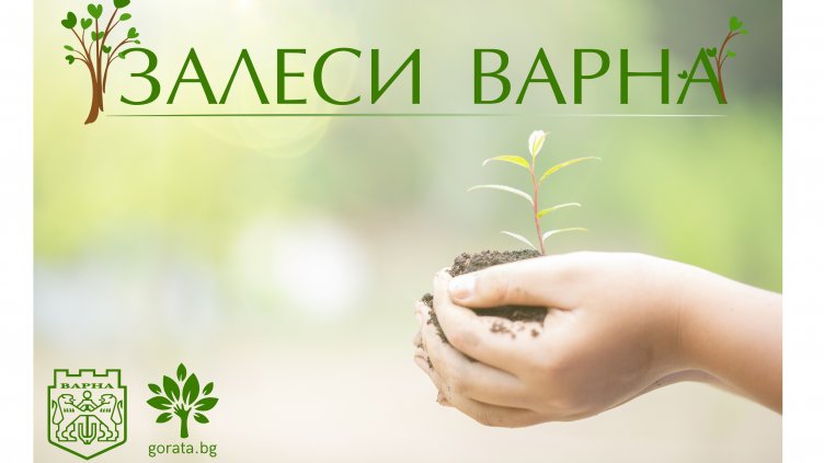 Започва есенна кампания „Залеси Варна“