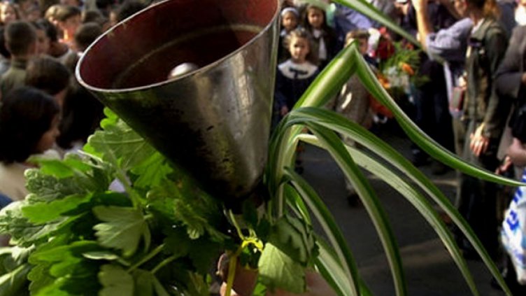 1076 деца от новите центрове за настаняване влизат в училище