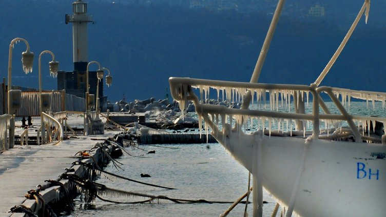 Снимка Пламен Гутинов