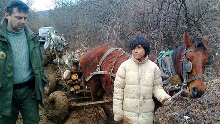 4 екипа горски дебнат за нарушители в цяла Варненска област